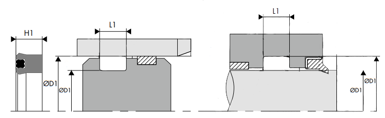 SI 4000 5000 0500 T-B VITON